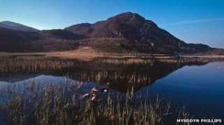 bbc.co.uk Saeth