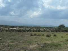 panoramio.com Saetia