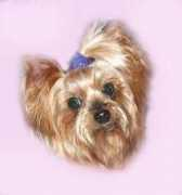 pekeatzurescue.com Saffee