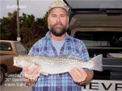 fishtradewinds.com Safrit