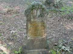 rootsweb.ancestry.com Safrona
