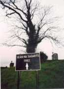 irishgraves.com Sagart