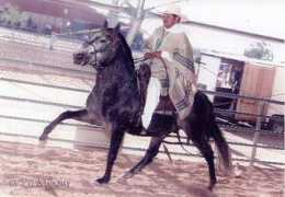 peruvianpasofun.com Sagittario