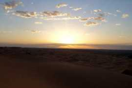 thecultureist.com Saharan