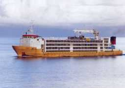 liveexportshame.com Sahiwal