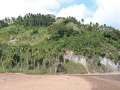 Sahoa