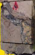 paleopolis.rediris.es Sahtan