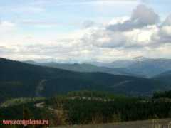 ecosystema.ru Saiani