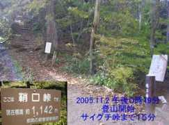 Saigu