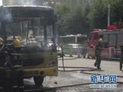 news.sina.com.cn Saiie