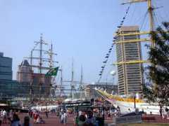 littlereview.com Sailab