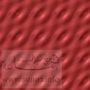 sunna.info Saillant