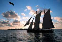Sailm