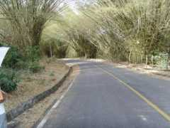 panoramio.com Saindo