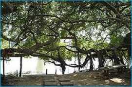 bangkoksite.com Saingam