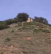 Saiol