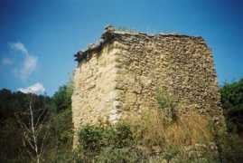 Saiol