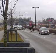helsinginuutiset.fi Sairio