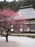 Saisho