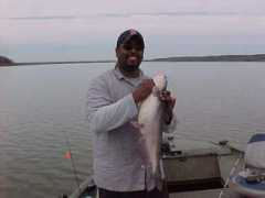 catfishin.net Sajeeve