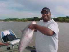 catfishin.net Sajeeve