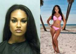 aljoumhouria.com Sajina