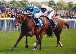 jockeysroom.com Sakhee