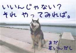 Sakisa