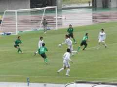 univ.nikkansports.com Sakoh