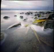 Saksholm