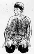 Salaado