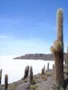 travellerspoint.com Salaar