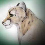 furnation.ru Salaia