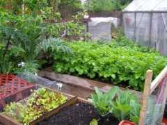 growsonyou.com Salard