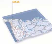 Salde