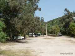 Salema