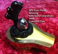 liveindia.com Salfer