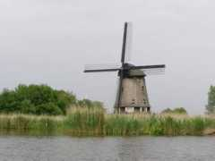 bugbitten.com Salibas