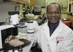 phys.org Saliki
