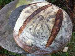 thefreshloaf.com Salilah