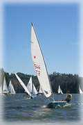 coosbayyachtclub.org Saliling