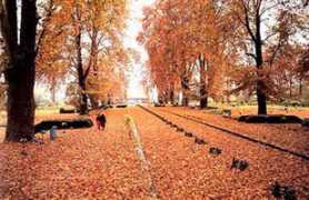 kashmir-houseboats.com Salimar