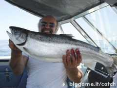 biggame.it Salmoni