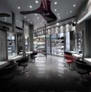 seanhanna.com Salons
