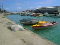 panoramio.com Salote