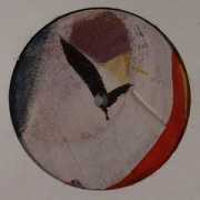 jp.juno.co.uk Salour