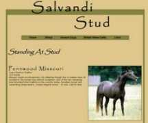 mdmdesigns.com Salvandi