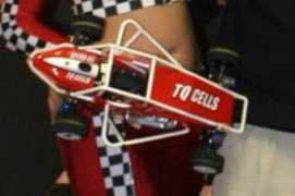 snowbirdnationals.com Salvas