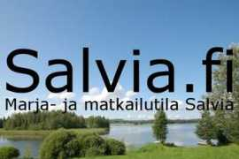 salvia.fi Salvian