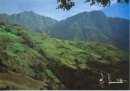bagneri.it Salvine